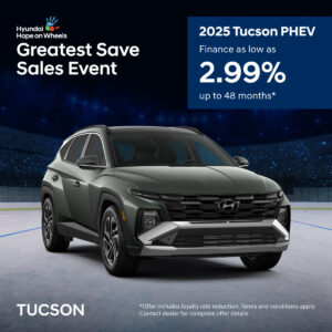 Vernon Hyundai Ad 2